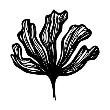 El çizilmiş çiçek yapraklarının silueti