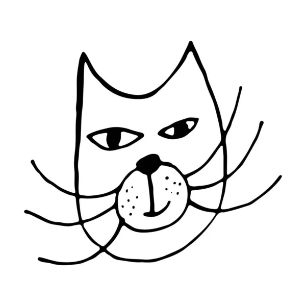 Kedi yüzünün el çizimi vektör çizimi — Stok Vektör