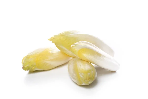 Chicory Αντίδια Απομονωμένα Λευκό Φόντο — Φωτογραφία Αρχείου