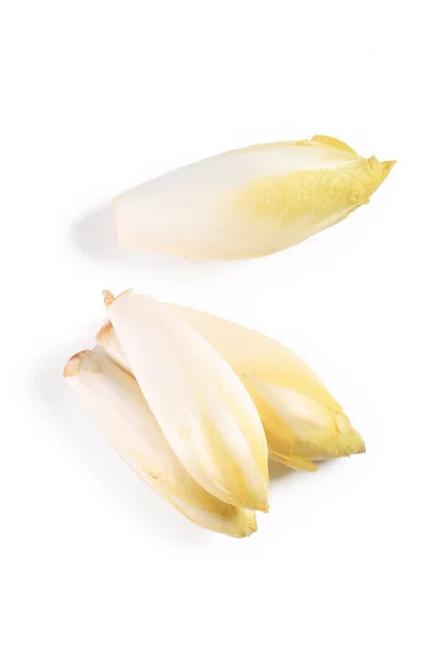 Chicory Endive Izolované Bílém Pozadí — Stock fotografie