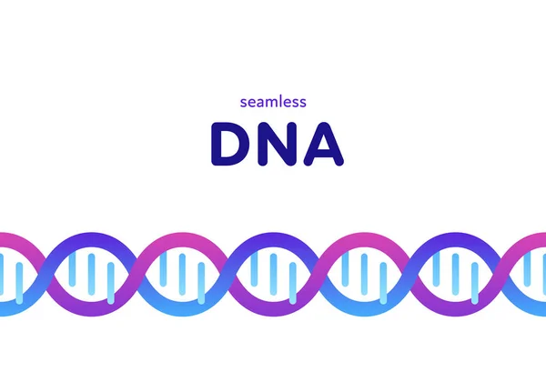 遺伝子抽象概念 ベクトルカラーフラットイラスト シームレスなDna境界線と白に隔離されたスペースをコピーする水平バナーテンプレート 医学広告デザイン要素 — ストックベクタ