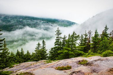 Acadia Ulusal Parkı, Maine 'deki tepelerde sis var.