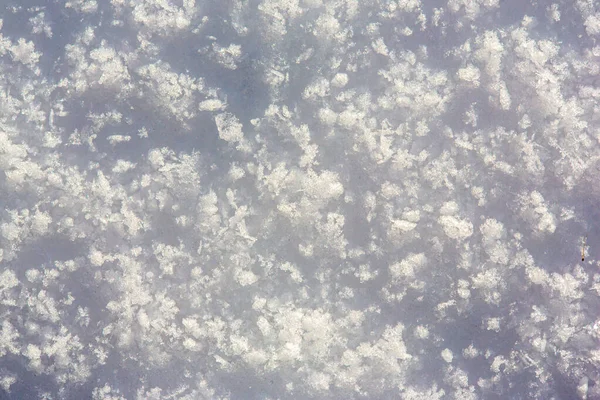 Fechar o chão coberto de neve — Fotografia de Stock