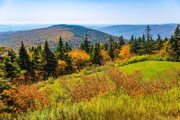 View from the top of Mount Greylock in Massachusetts — 스톡 사진