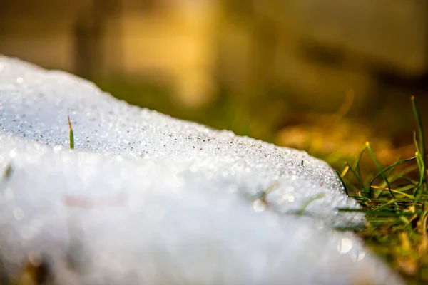 Montones Nieve Hierba Dormida Durante Invierno Nueva Inglaterra —  Fotos de Stock