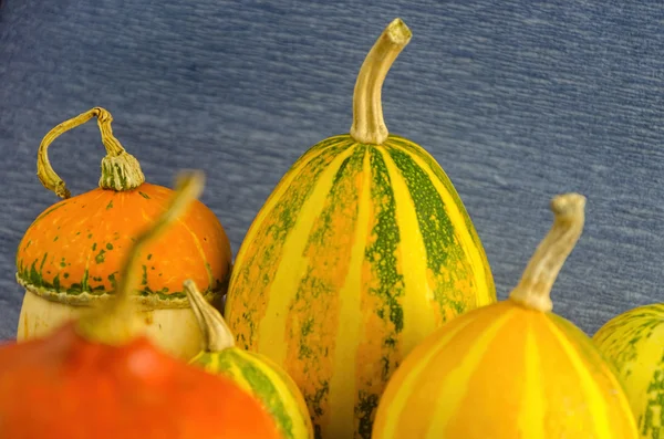 Dekoratif Halloween pumpkins masada — Stok fotoğraf