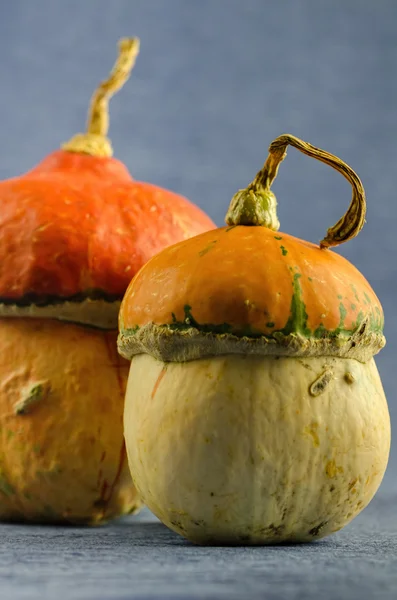 Dekoratif Halloween pumpkins masada — Stok fotoğraf