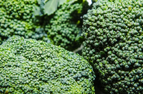 Close-up beeld van bloeiende broccoli — Stockfoto