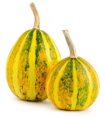 Ham Festival balkabağı beyaz arka plan üzerinde izole