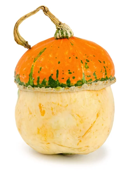 Crude festive pumpkin isolated on white background — Stock Photo, Image