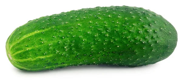 Appetizing green cucumber isolated on a white background — ストック写真