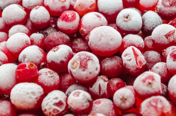 Bayas rojas sanas cubiertas de heladas como el azúcar — Foto de Stock