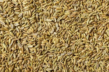 Bir arka plan olarak kurutulmuş rezene tohum