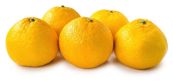 Пять оранжевых мандарин изолированы — стоковое фото