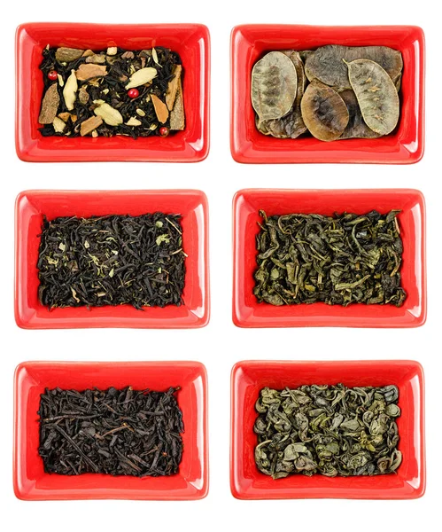 Conjunto de diferentes tipos de té tipo, bebida sana y frescura — Foto de Stock