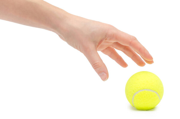 hand of young girl holding tennis ball.