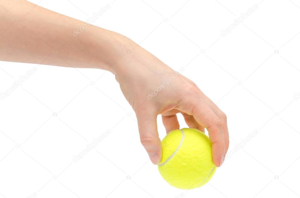 hand of young girl holding tennis ball.