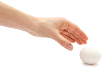 tavuk yumurta tutan kadın el