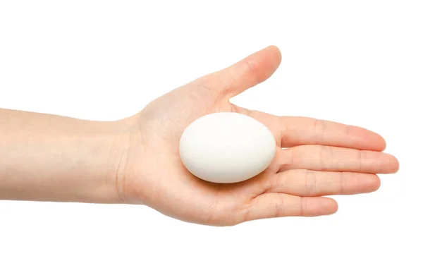 Woman hand holding chicken egg — Stock Photo, Image