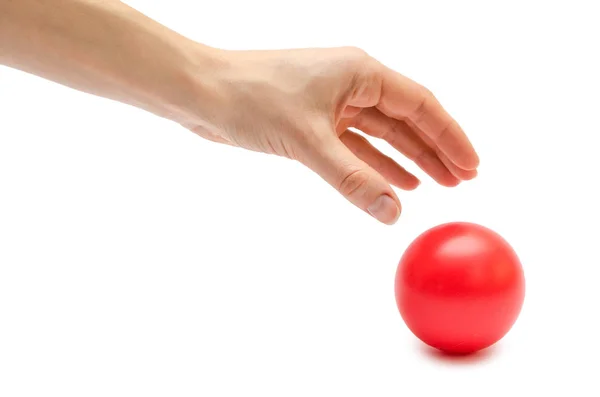 Mão mulher segurando bola de brinquedo . — Fotografia de Stock