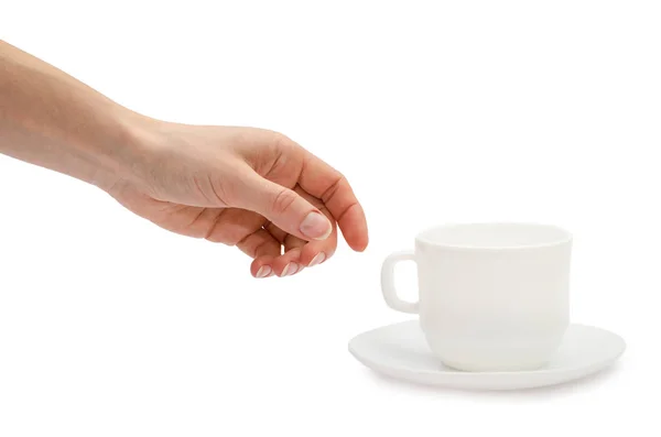 여자 손 잡고 흰색 컵. — 스톡 사진