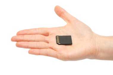 SD flash kart tutan kadın el.