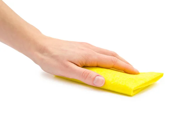 Female hand takes or gives rag. Stock Picture
