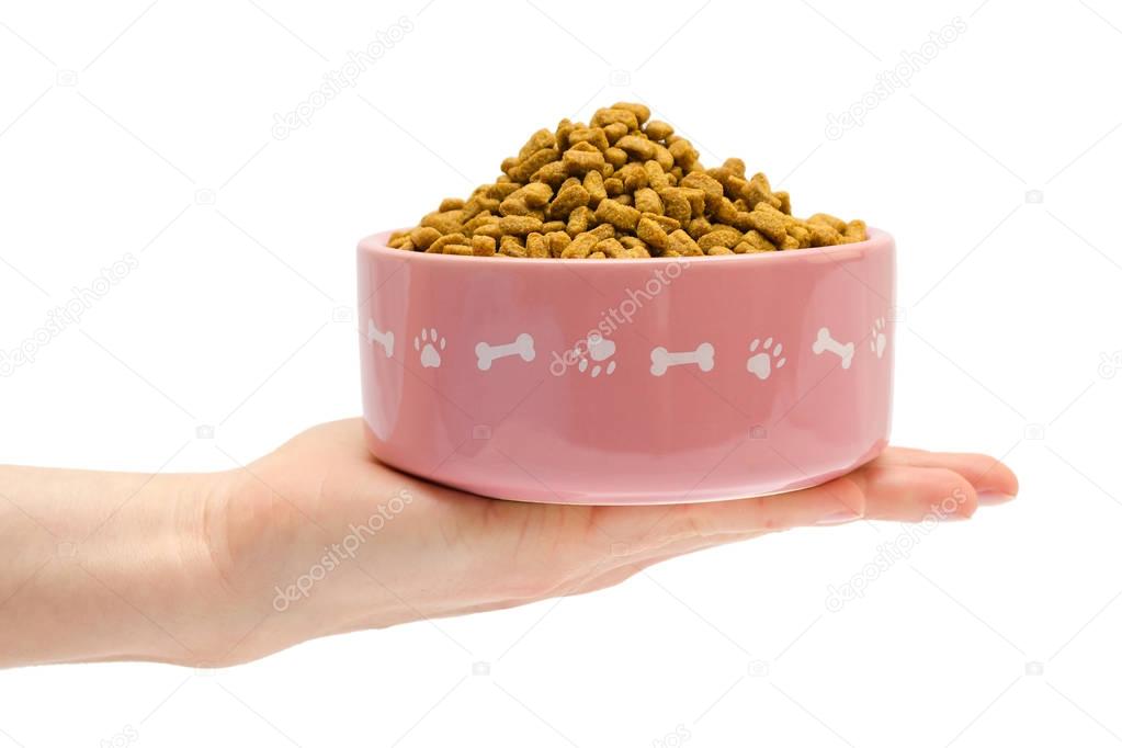 female hand takes or gives pets food.