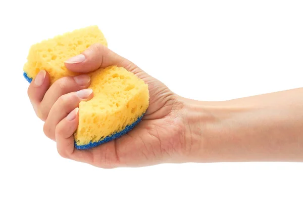 Female hand holds new and clean sponge for cleaning. Isolated on white background — Stock Photo, Image