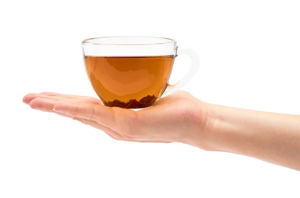La mano femenina sostiene una taza de té. Aislado sobre fondo blanco — Foto de Stock