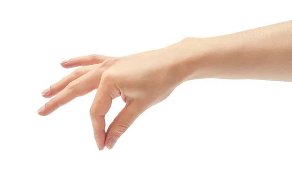 Hermosa mano femenina sosteniendo gesto. Aislado sobre fondo blanco — Foto de Stock