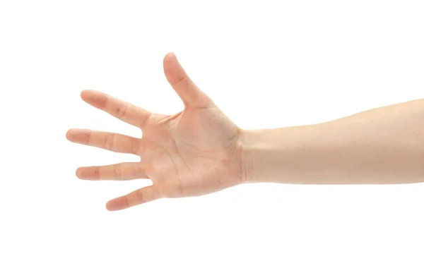 Beautiful female hand count five gesture. Isolated on white background — Stock Photo, Image