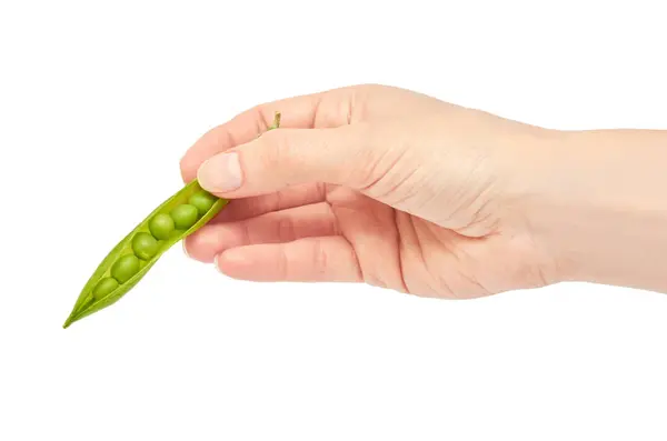 Bela mão feminina segura verde gesto de ervilha fresca. Isolado sobre fundo branco — Fotografia de Stock
