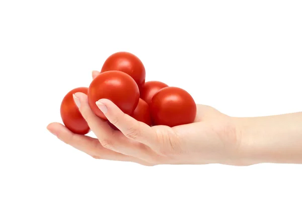 Prachtige vrouwelijke rode tomaat handgebaar. Geïsoleerd op witte achtergrond — Stockfoto