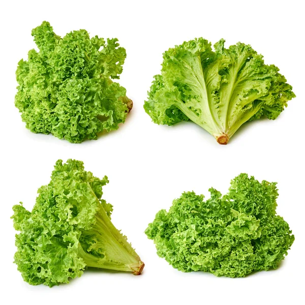 新鲜的绿色和原料生菜，孤立的白色背景上的一套 — 图库照片