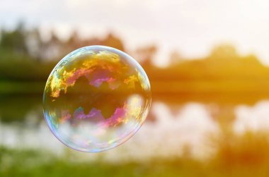 Sabun köpüğü downwind sinek nehir kıyısında. Hafiflik ve hafiflik, güneş ışığı kavramı