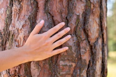 el kızı park veya ormandaki bir ağaç sarılmak. Doğa ile birlik kavramı