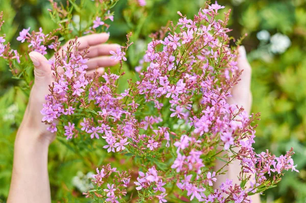 bir kıza çiçek el ile tutar. Alan buket. Tazelik, doğa ile birlik kavramı