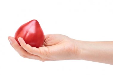 Beyaz arka plan üzerinde izole insan elinde bütün domates