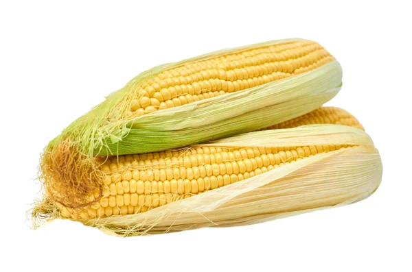 Surowe świeże kukurydziany na białym na białym tle — Zdjęcie stockowe