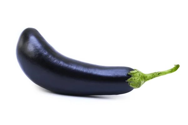 Raw purple Eggplant Isolated on white background — Stock Photo, Image