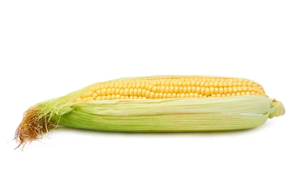 Raw fresh Corn Isolated on white background — Stock Photo, Image