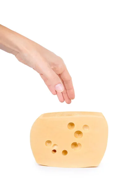 Bloque de queso en mano aislado sobre fondo blanco —  Fotos de Stock