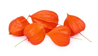 egzotik taze turuncu physalis beyaz arka plan üzerinde izole