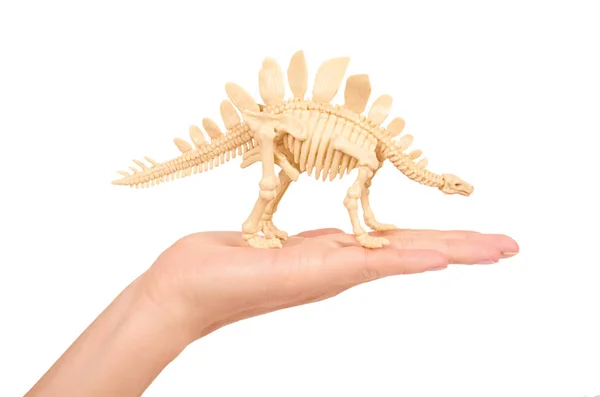 塑料玩具动物恐龙骨骼的手在白色背景上隔离 — 图库照片