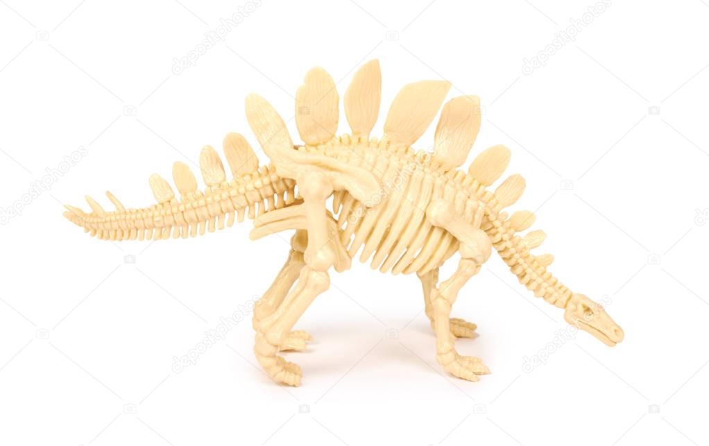 Plastic Toy Animal Dinosaur Skeleton isolated on white background