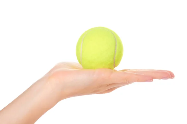 Pelota de tenis individual en mano aislada sobre fondo blanco —  Fotos de Stock