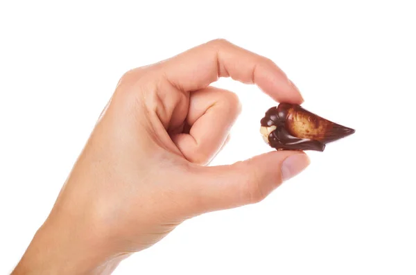 Divers pralines au chocolat isolées sur fond blanc — Photo