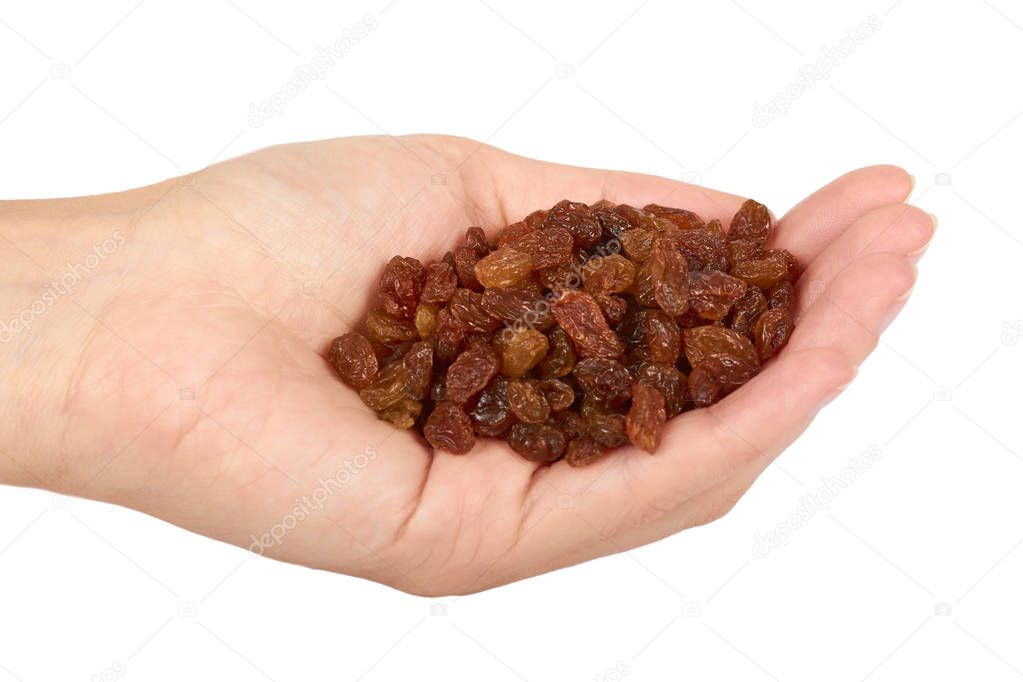 delicious and healthy raisins in hand isolated on white background, healthy sweet snack