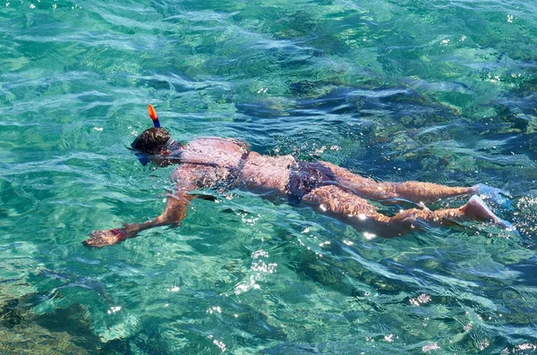 열 대 바다에서 스노클링 하는 아름 다운 여자 — 스톡 사진